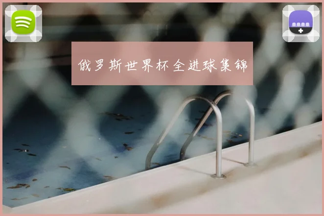 俄罗斯世界杯全进球集锦
