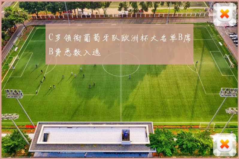 C罗领衔葡萄牙队欧洲杯大名单B席B费悉数入选