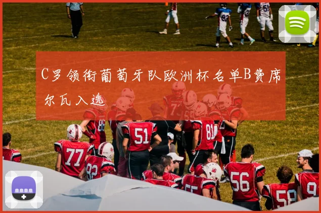 C罗领衔葡萄牙队欧洲杯名单B费席尔瓦入选
