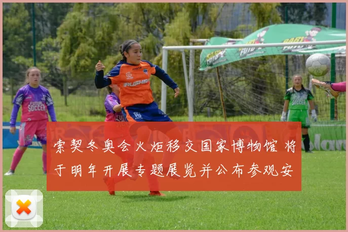 索契冬奥会火炬移交国家博物馆 将于明年开展专题展览并公布参观安排